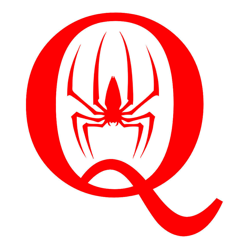 qSpider Logo